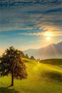 过年回家，我被保姆当佣人小说免费