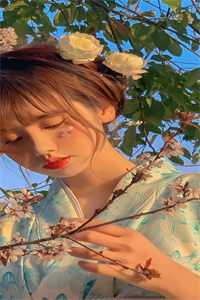 守规矩的姨娘小说大结局