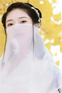 年终奖发了二百五，我直接让公司倒闭无错版