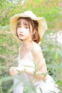 半盏花灯枕明月完整阅读