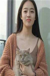 智者不入爱河全文+后续