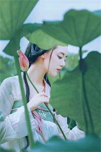 怀孕三月，老公逼我将房子过户给婆婆当养老房后续+结局