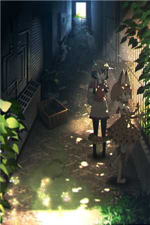 花灯影里寄相思小说在线阅读免费