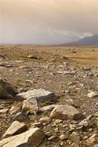 和他散于那年秋广告+结局