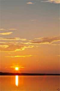 嫂嫂休想逃，疯批小叔觊觎疯了！新上热文