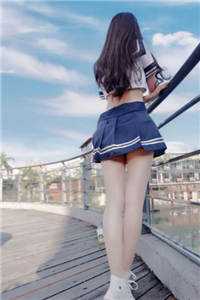 寒塘渡鹤影爆款热文