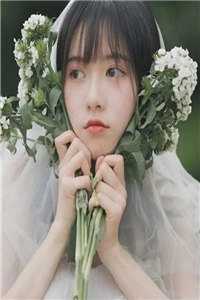 梨花落尽月又西完结