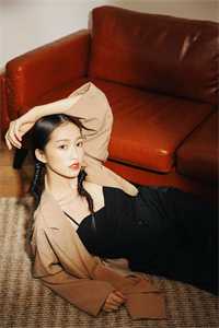 黎雨未至葬落日已完结