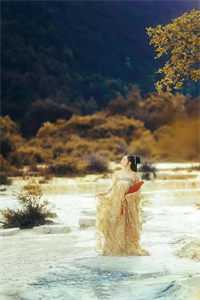 抄诗被发现？他来替我解围后续