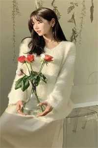 外交翻译官：我的征途是山河无恙小说免费阅读全文