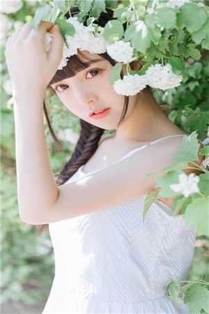 一刀霜刃了情迟章节