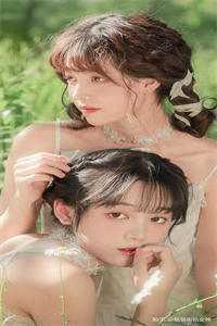 风止于拂晓前高质量好文