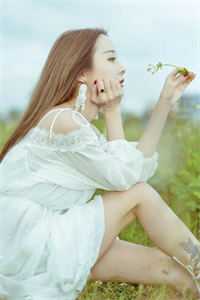 纵使相逢应不识精品推荐