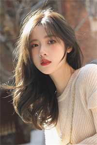 智者不入爱河阅读