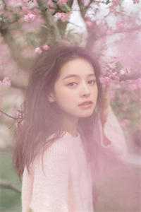 未寄白头雪满枝精品推荐