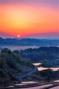 蝉鸣盛夏别离时优质全文阅读