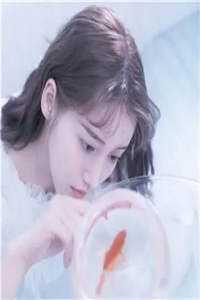 红尘浮动烬成霜火爆小说