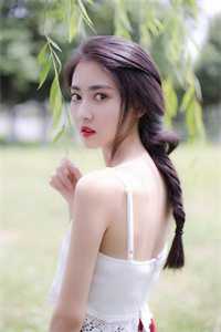 春风折尽长安雪阅读