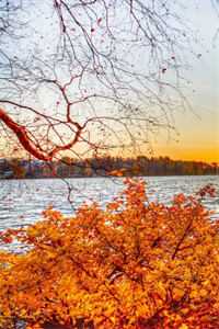 一张假证骗我六年，我不做护工后杀疯了在线阅读