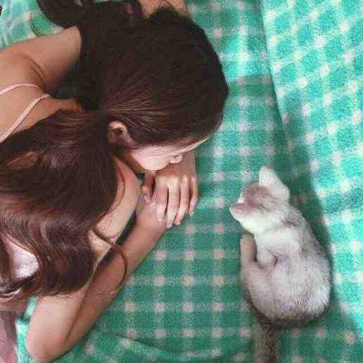 宴会偶遇前任他反手把我锁死热门