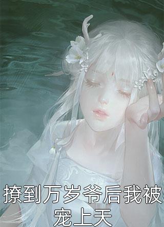 聿心向南小说畅读