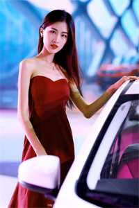 从此山河不逢君的小说