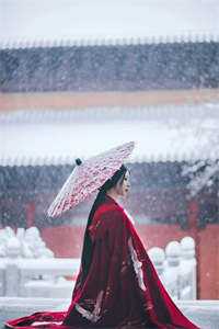 重生后飞机失事，我让乘客坐着等死机长李玲玉全局