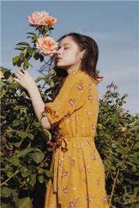 我提出离婚后，妻子杀疯了小说