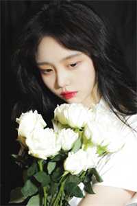 风雨如晦人不归好书