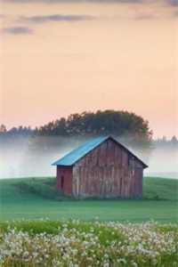 春深不归客，清梦不相逢完本