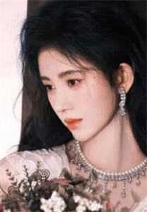 无限风华无广告