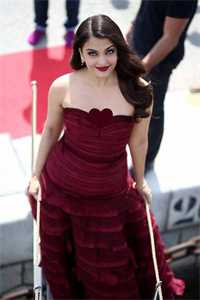 智者不入爱河无删减全文