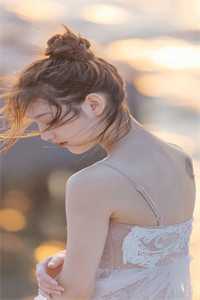 晚风辞朝露完整版