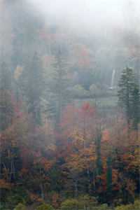 白云空寄旧时言畅销巨著