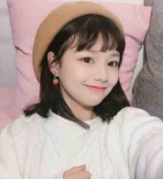 我心也曾逐月华的小说