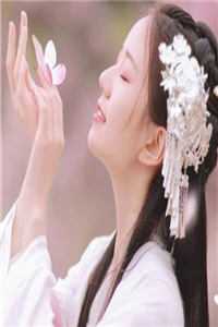 半盏花灯枕明月目录