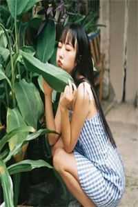 暮雪葬归途无删减版