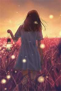 昨夜风雨那时晴完结版