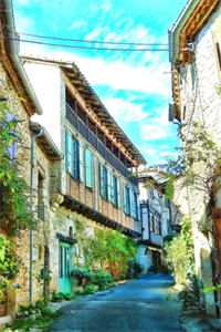 那年情深不逢时最新