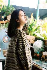 萤火绕过旧梅梢章节