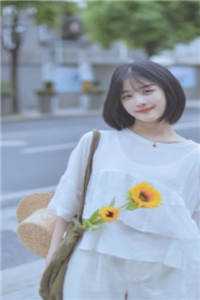 暮雪葬归途小说