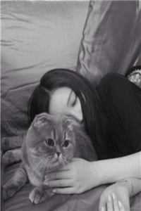 重生后，我尊重他的遗忘陆封苏婷全集