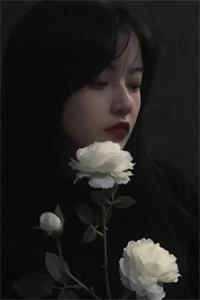 星光跌入他眼眸全文+番外