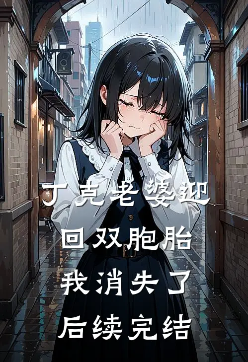 丁克老婆迎回双胞胎,我消失了后续完结