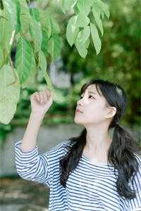 荒城梦醒，旧情空灭小说