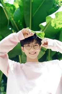 妻子引进留学生整顿公司后，我杀疯了完整作品