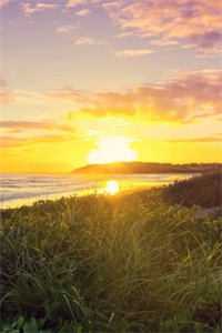 和闺蜜在地府考编三百年后，我杀疯了全本