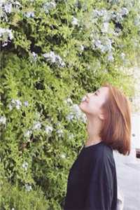 纵使相逢应不识热门