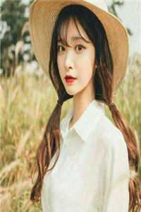 蝉鸣止于初雪章节